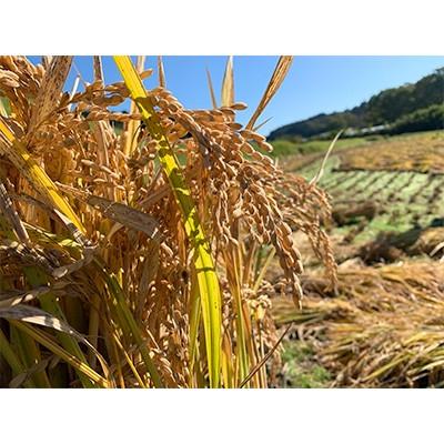 ふるさと納税 小国町 【令和7年産】小国町の大自然の中でつくられたお米(5kg) あきげしき |  | 01