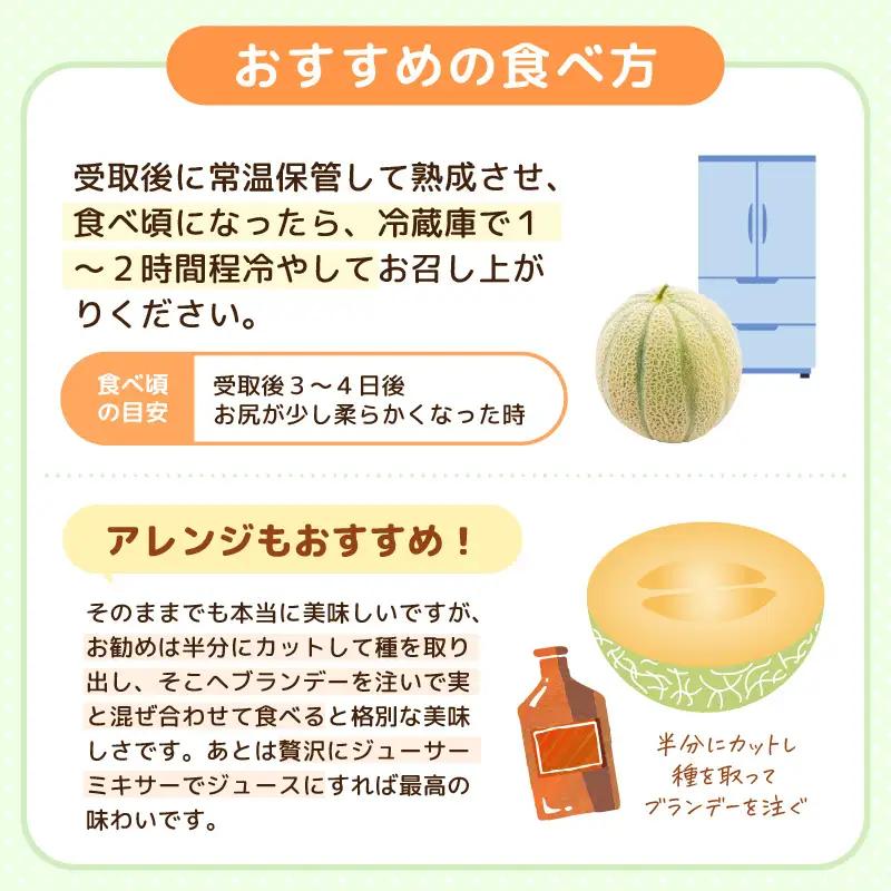 マルセイユメロン 4L 2玉 化粧箱入り 2027年6月中旬以降順次発送 メロン フルーツ 赤肉 贈答 ギフト [A-19107]