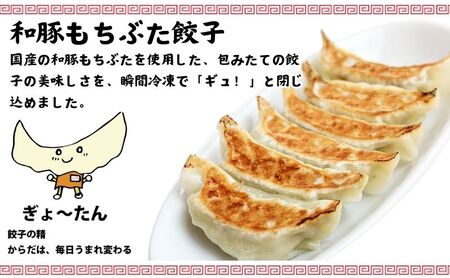 もちぶた餃子 海老餃子 春巻き セット【中華】