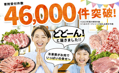 豚肉 バラエティセット 約750g《9月出荷》 豚肉豚肉豚肉豚肉豚バラロース小分け