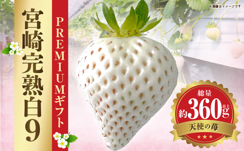 《2026年発送》【数量・期間限定】宮崎完熟白9PREMIUMギフト 完熟 甘い 白苺 いちご イチゴ 苺 果物 フルーツ_M279-007