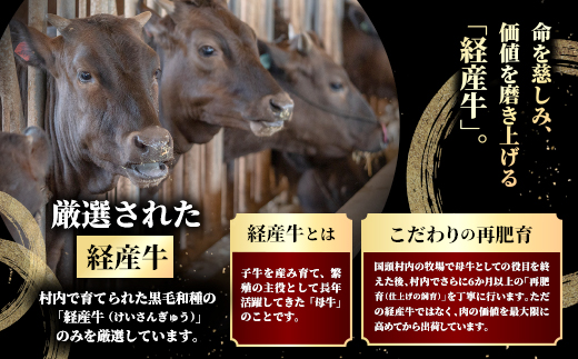 やんばるの自然が育んだ「黒毛和牛 経産牛」切り落とし 合計1kg(500g×2パック)【配送不可地域：離島】【1716771】