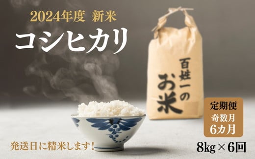 
102-1002　先行予約【6回定期便】石井町産コシヒカリ8kg×6カ月（奇数月） ※2024年9月上旬以降に順次発送予定 ※離島への配送不可◇
