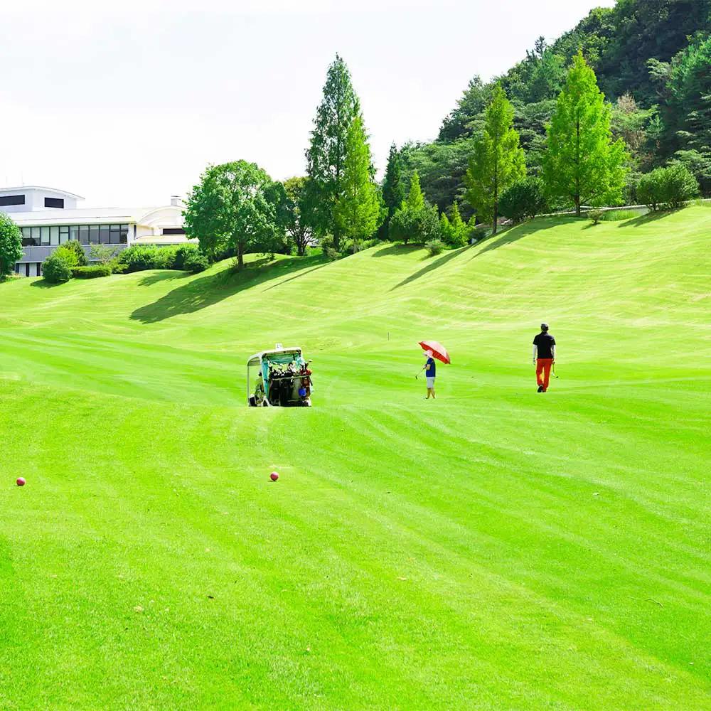 【参加型体験】浮羽カントリークラブ 平日セルフプレー券 ゴルフ ゴルフ場 ゴルフプレー スポーツ チケット 旅行 旅 体験 観光 九州 福岡県 福岡 ふくおか うきは市