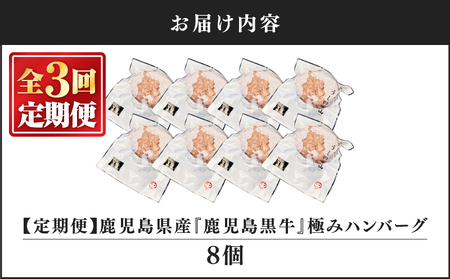 2231 【 定期3回 】 ハンバーグ （ 8個 ） 【 うしの中山 】 KN050-T01 和牛 牛肉 肉 国産 冷凍 小分け 黒毛和牛 冷凍ハンバーグ nixy 中山亭 鹿屋店 ふるさと納税 鹿児