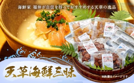 天草海鮮三昧