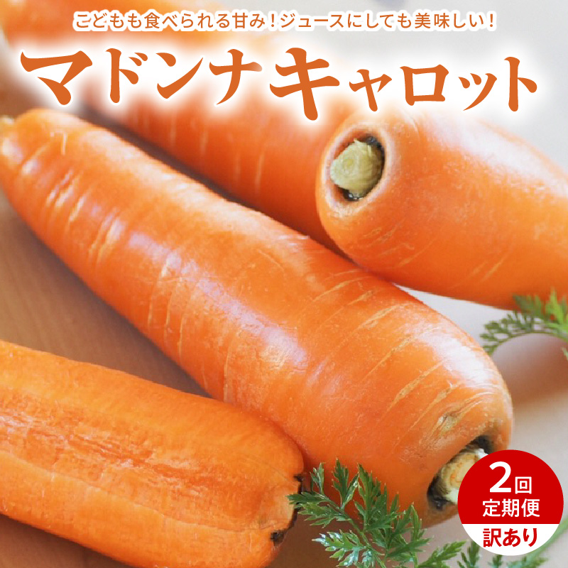 ＜フジテレビ『どっちのふるさと？』で紹介されました！＞ 訳あり 2回定期便 にんじん 1月2月お届け マドンナキャロット　H105-163