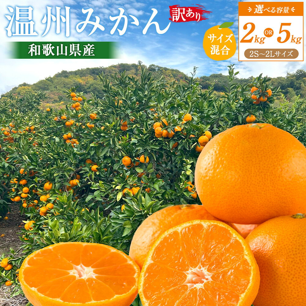 【ふるさと納税】［選べる容量］訳あり 温州みかん 2kg or 5kg 2S～2Lサイズ混合［2026年11月より順次発送予定］ | みかん 蜜柑 フルーツ 果物 くだもの 食品 人気 おすすめ 送料無料 産地直送