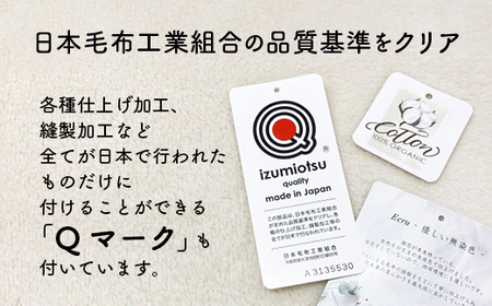 【シングル】泉大津製 無着色 オーガニック コットン マイヤー毛布(毛羽部分) | 毛布 [0743]