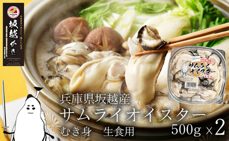 坂越かき むき身 約500g×2パック 計約1kg【2026年1月上旬～2026年3月下旬頃発送予定】／ 牡蠣 かき カキ オイスター サムライオイスター 生牡蠣 魚介 貝 海産物 生食 パック 兵庫県 赤穂市