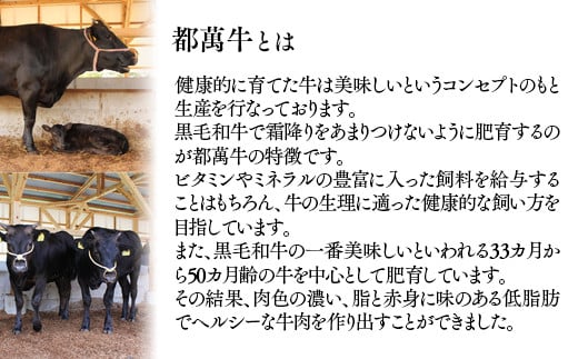 黒毛和牛『都萬牛』特選セット　焼肉500ｇ・スライス300ｇ・ステーキ300ｇ<5-3>牛肉 肉 ビーフ 食べ比べ 宮崎県西都市