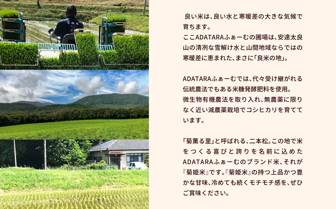 菊姫米　高級ブランドもち米こがねもち使用　もち米1kg×2袋【ADATARAふぁーむ】