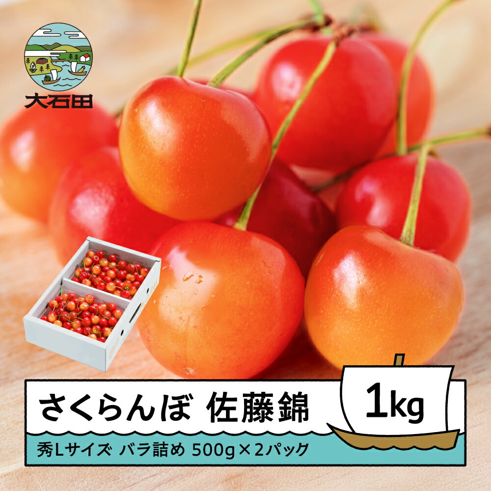 【ふるさと納税】 さくらんぼ 佐藤錦 6月上旬〜下旬発送 秀Lサイズ プレゼント ギフト バラ詰め 1kg(500g×2パック) 2026年産 山形県産 送料無料 サクランボ