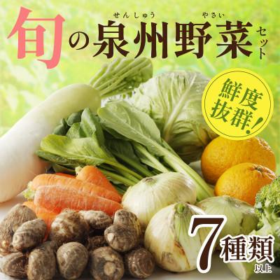 ふるさと納税 泉佐野市 【2025年11月下旬発送】旬の野菜セット 詰め合わせ 7種類以上 おまかせ 005A443