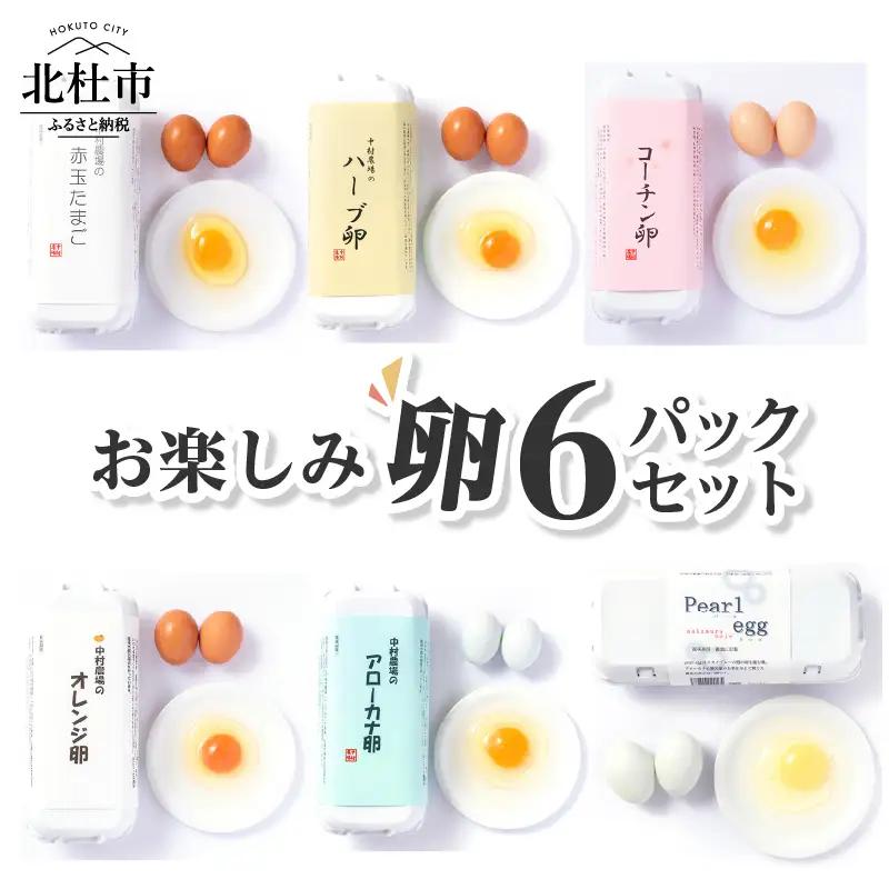 中村農場　お楽しみたまご６パックセット [h024]