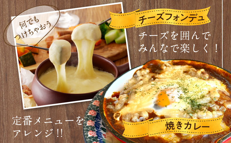 JUCOVIA ミックスチーズ 定期便 2kg×全6回 ムラカワチーズ【毎月配送コース】 099Z339