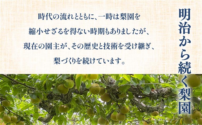 【先行予約】福島県いわき市産 梨(幸水) 約5kg | 梨 幸水 いわき市産 岡田梨園 約5kg 先行予約 期間限定 果物 フルーツ 和梨 国産 新鮮 産地直送 甘い ジューシー 瑞々しい シャキシャ