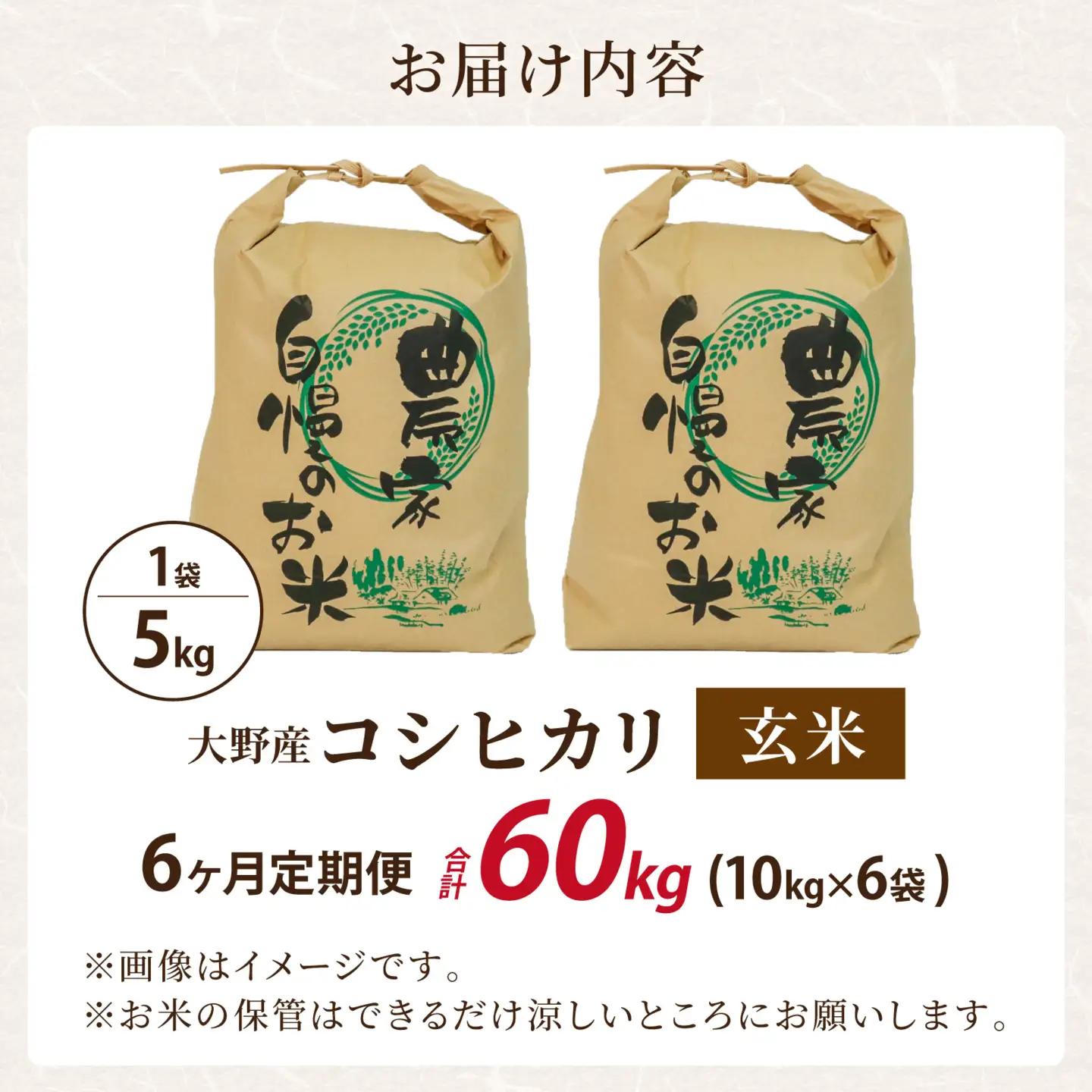令和8年産 新米 こしひかり 10kg 6回定期便 玄米