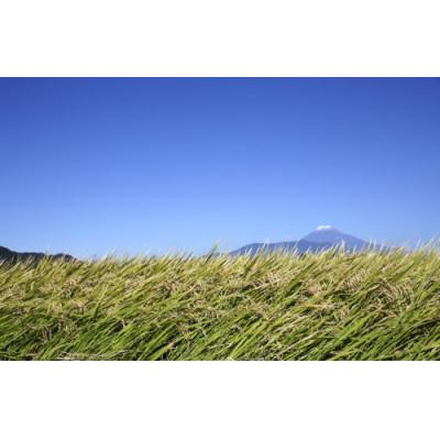 ふるさと納税 田村市 【無洗米】田村産天のつぶ5kg 【令和7年産】 |  | 02