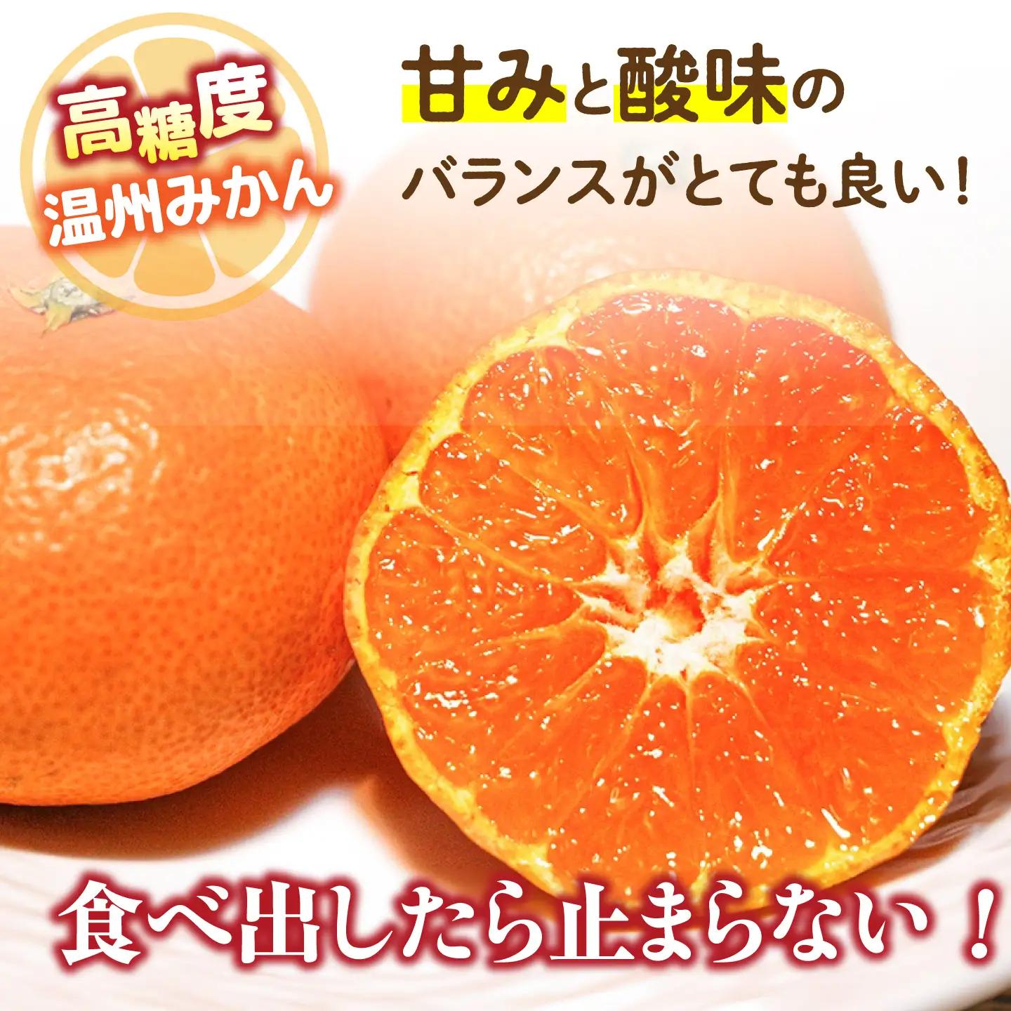 【2026年11月下旬-発送】温州みかん 約10kg [SCV012] みかん
