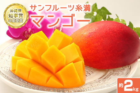 【 先行予約 2026年 発送 】 沖縄県知事賞4度受賞 サンフルーツ糸満 マンゴー 2kg アップルマンゴー アーウィンマンゴー 国産 完熟マンゴー 果物 南国 くだもの フルーツ 完熟 夏 旬 特産品 沖縄 お取り寄せ お土産 甘い 濃厚 沖縄県 糸満市 24-2