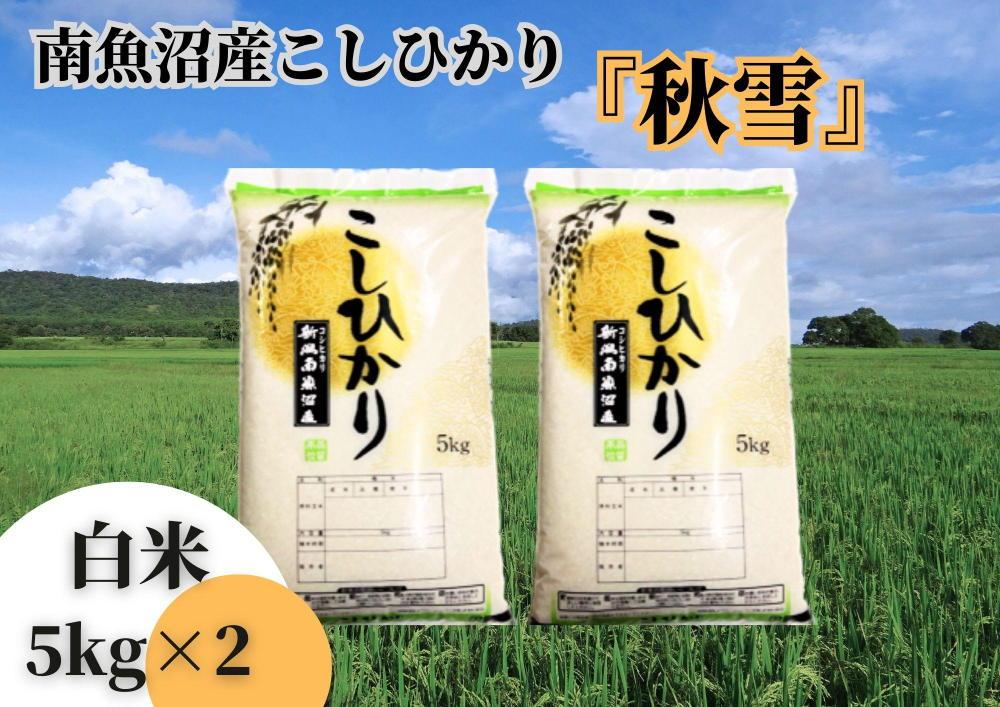 【令和7年産 新米予約】南魚沼産こしひかり「秋雪」白米10kg 新潟県の特A地区南魚沼市の美味しいお米【2025年（令和7年）10月上旬より順次発送予定】【米 お米 こしひかり 南魚沼 米 白米 こめ 新潟 米】