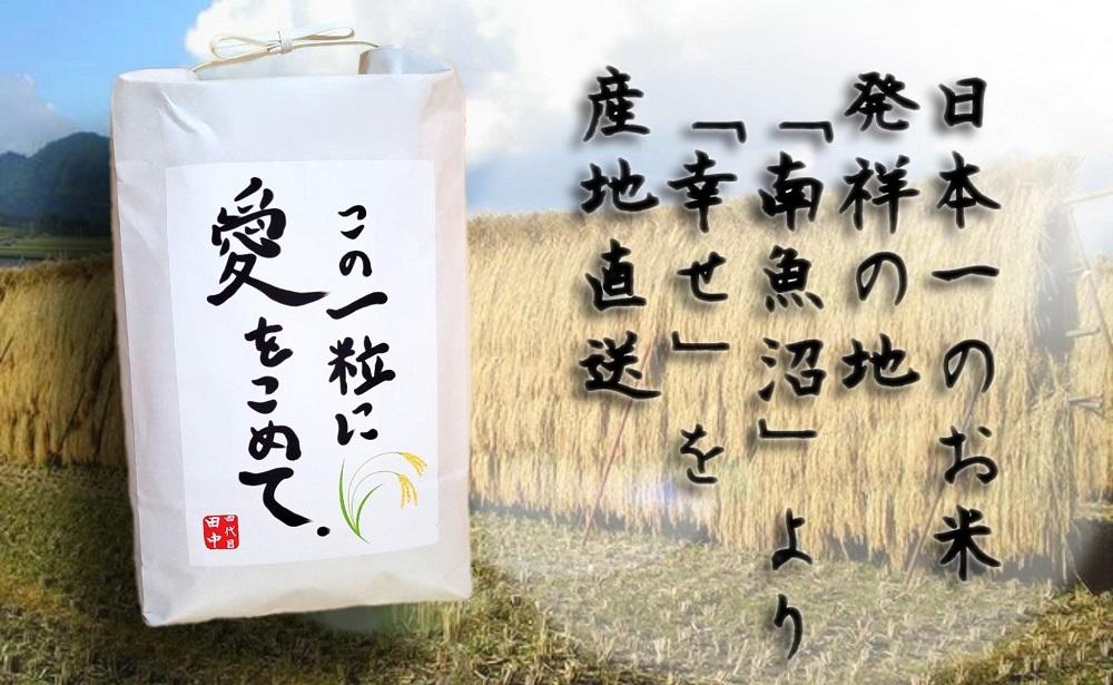 【令和7年産新米予約】この一粒に愛をこめて【四代目田中の最高傑作品】精米10kg【2025年9月中旬より順次発送予定】