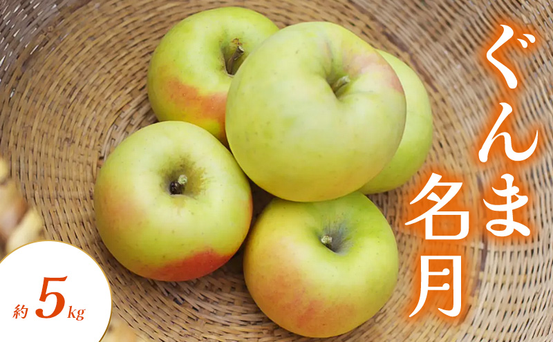 ぐんま名月 約5kg りんご リンゴ 林檎 果物 フルーツ 長野県 長野 山ノ内町