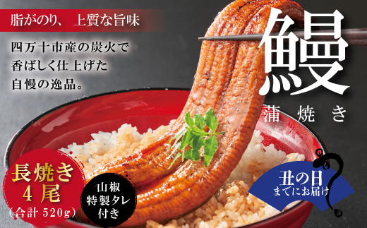 【土用の丑の日までにお届け】＜四万十食品＞うなぎ蒲焼　長焼４尾／ＤＥＥ 鰻 ウナギ うなぎ お取り寄せ グルメ ギフト 食べ物 食品 おかず 国産鰻 蒲焼 うなぎ蒲焼 ウナギ蒲焼 鰻蒲焼 冷凍 送料無料 国産 高知 高知県 四万十市 25-368U
