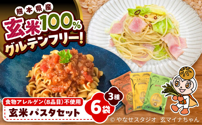 
            玄米パスタ　3種類各2袋セット / 玄米 パスタ 特産品 熊本 菊陽町 グルテンフリー アルデンテ げんまい ぱすた セット もっちり こども 【株式会社熊本玄米研究所】 [BHAF002]
          