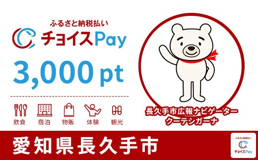 
                  長久手市チョイスPay 3,000pt【会員限定のお礼の品】
                