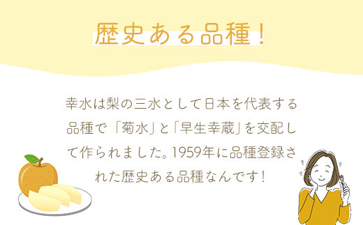 【先行予約】白岡ちば果樹園の樹上完熟　幸水　5kg　【2025年8月中旬より発送】【11246-0276】