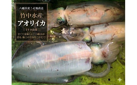 竹中水産のアオリイカ1kg前後!(±100g)＜D22-274＞【1143922】 YWTM091
