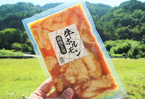 牛ホルモン 網焼き用（250g×5袋）牛肉 ホルモン BBQ 味付け 贈答 ギフト もつ鍋 飛騨 味職人【57-16】