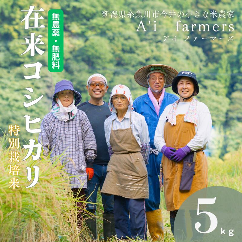 【ふるさと納税】自然栽培米 在来コシヒカリ【令和7年産】 5kg 新潟県 糸魚川市産 無農薬 無化学肥料米 安心 安全 美味しいお米 新潟米 アイファーマーズ【こしひかり おにぎり お弁当 おこめ コメ ご飯 ライス ふるさと納税米 ブランド米 2025年 5キロ】