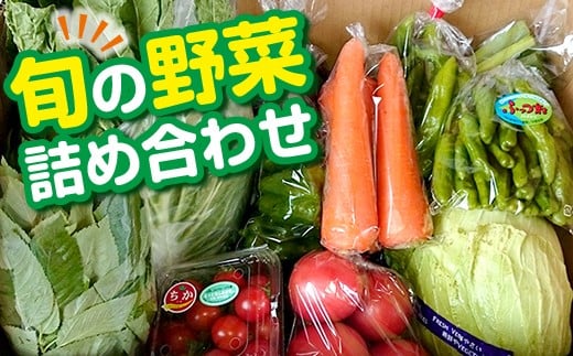 旬の野菜詰め合わせ