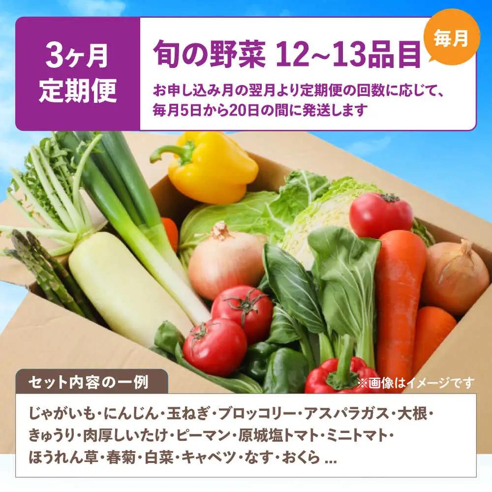 【3回定期便】野菜のプロが選ぶ 旬の野菜セット 12-13品目 野菜定期便 / 野菜 やさい セット 新鮮 / 南島原市 / 愛2農園[SGG004]