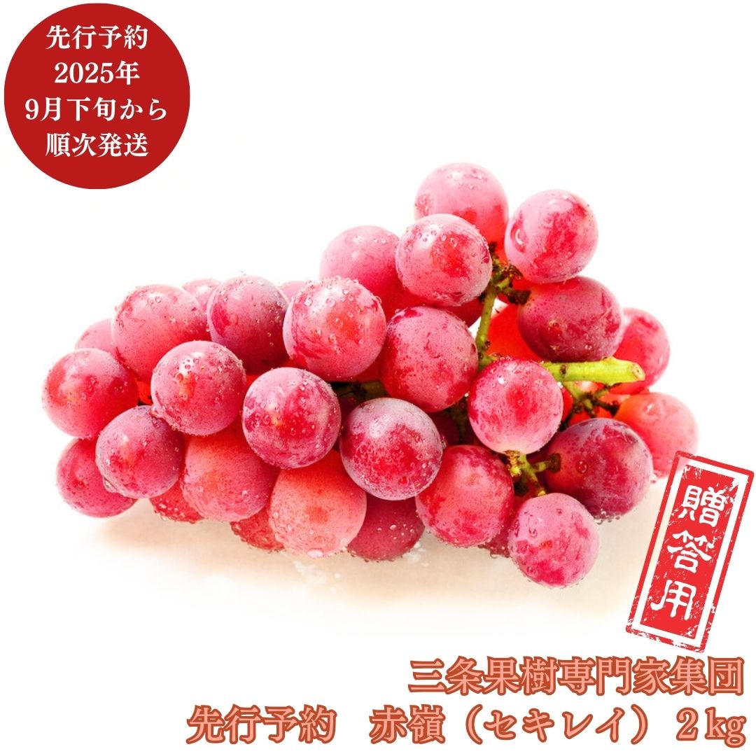 【ふるさと納税】先行予約 ぶどう 赤嶺（セキレイ） 約2kg [9月下旬から発送予定] 令和7年度 贈答用 新潟県 三条市産 [三条果樹専門家集団]【017P016】