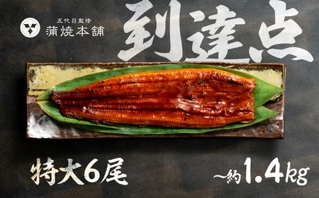 国産うなぎ蒲焼 特大6尾 うなぎ