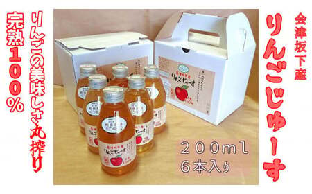 16-N りんごジュース200ml6本入り×2箱 （品種違い組み合わせ）小箱セット 相良農場