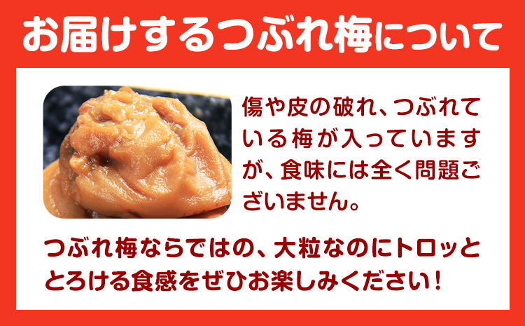 《加工食品カテゴリ上位ランクイン!》南高梅 はちみつ 梅 紀州南高梅 つぶれ 梅干し 2kg 有限会社プラム《30日以内に出荷予定(土日祝除く)》和歌山県 日高町 送料無料 梅 うめ ウメ 南高梅 つ