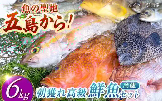 朝獲れ高級鮮魚セット6kg【五島列島直送】五島市/鯛福丸水産[PDP004]鮮魚BOX 詰め合わせ 詰合せ せんぎょ 冷蔵 刺身 魚 海鮮 直送 さかな 新鮮人気 おすすめ