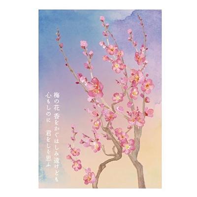 ふるさと納税 水戸市 【水戸市有料観光土産品】Shamrock うずらのたまごのピクルス 梅香 2本 |  | 03