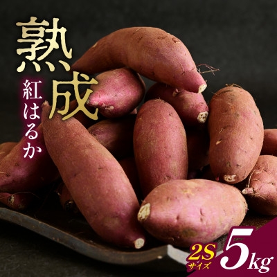 
                  産地直送!生さつまいも「熟成紅はるか」調理しやすい小さめサイズ5kg【1748778】
                