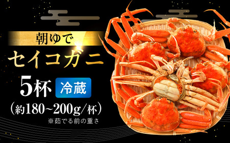 【先行予約/11月7日より順次発送】朝ゆで国産セイコガニ　5杯 [BFAA004] 【配送不可地域：北海道・沖縄・離島】 