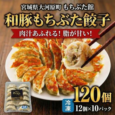 ふるさと納税 大河原町 和豚もちぶた 餃子 120個 (12個×10P)[53753707]