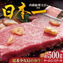 【ふるさと納税】【幻の和牛】特選 平戸和牛 サーロインステーキ 約500g（250g×2枚） 平戸市 / 萩原食肉産業 [KAD021] 肉 牛肉 人気 BBQ バーベキュー