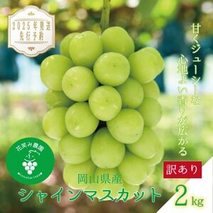 岡山　花笑み農園の『訳ありシャインマスカット』2kg　WS-2【2025年9月下旬～順次発送】【配送不可地域：離島】【1593500】