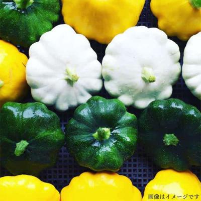 ふるさと納税 糸島市 栽培期間中農薬・化学肥料不使用 こだわり野菜セット オーガニックナガミツファーム[AGE014] |  | 01