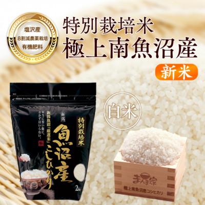 ふるさと納税 南魚沼市 【新米】【8年産】特別栽培米「南魚沼産コシヒカリ」(栽培期間中農薬節減・化学肥料不使用)白米8kg